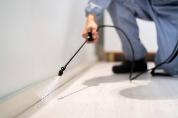 Licensed Termite Control service in Monroe, MI - Nex Pest Control