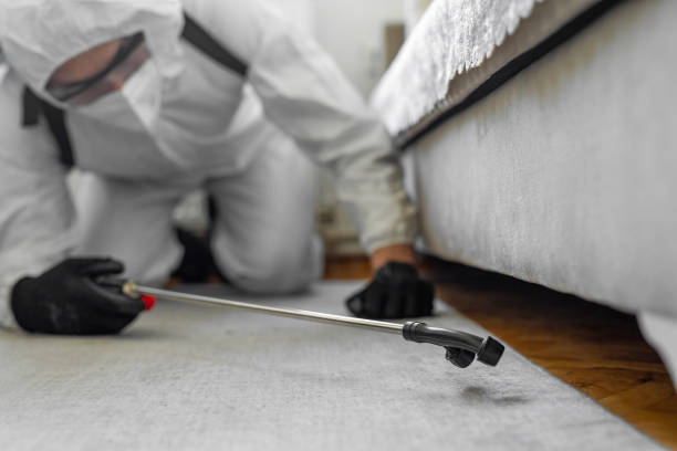 Professional Termite Control technician working in Monroe, MI