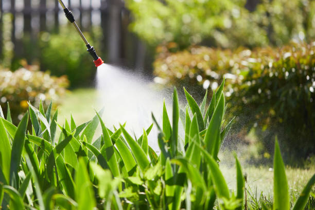 24/7 Emergency Termite Control experts in Monroe, MI