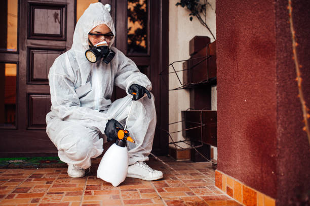 Reliable Termite Control contractor in Monroe, MI by Nex Pest Control