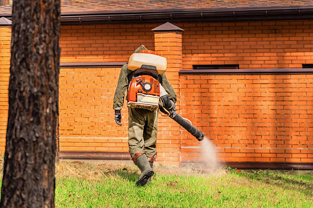 Top rated local Termite Control specialists in Monroe, MI